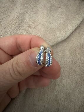 Fashion Jewelry Silver Hoop Earrings with Blue and Clear Crystals